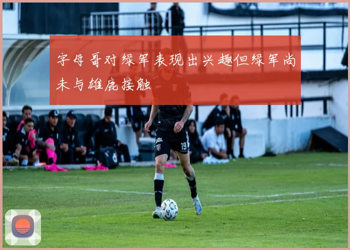 字母哥对绿军表现出兴趣但绿军尚未与雄鹿接触