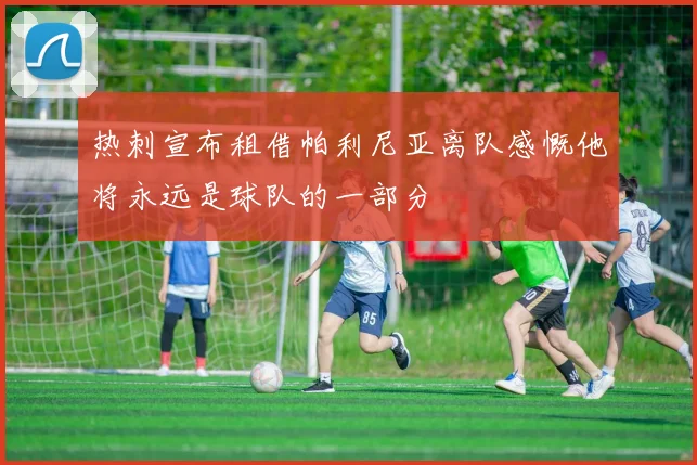 热刺宣布租借帕利尼亚离队感慨他将永远是球队的一部分