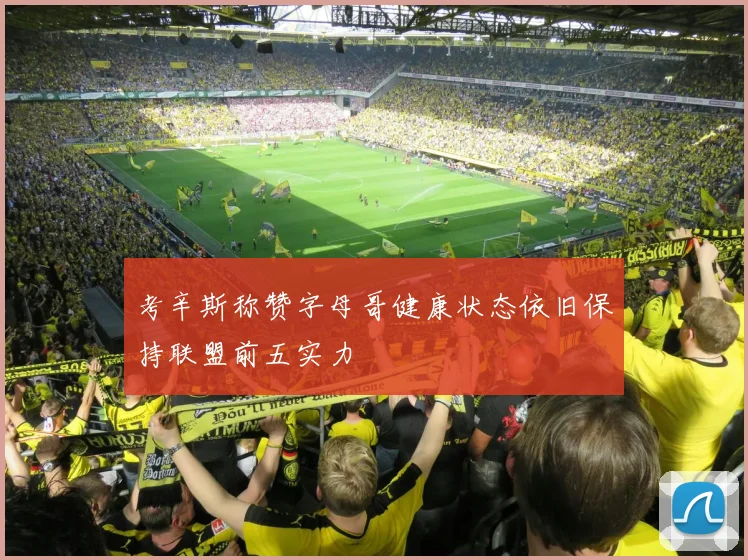 考辛斯称赞字母哥健康状态依旧保持联盟前五实力