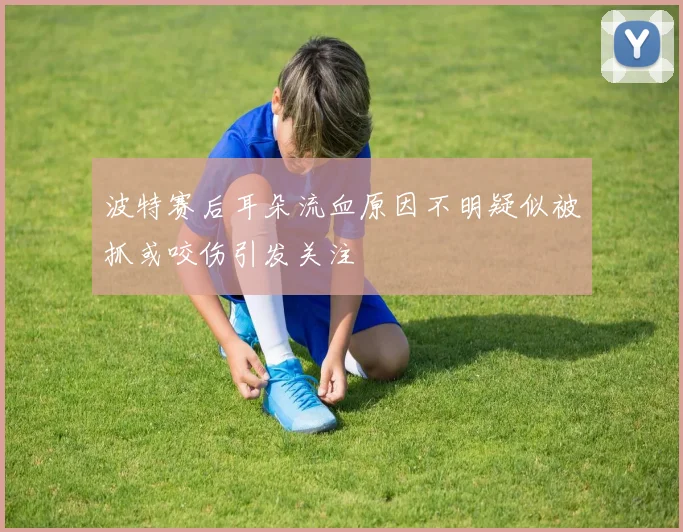 波特赛后耳朵流血原因不明疑似被抓或咬伤引发关注